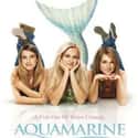 Aquamarine on Random Best Teen Romance Movies