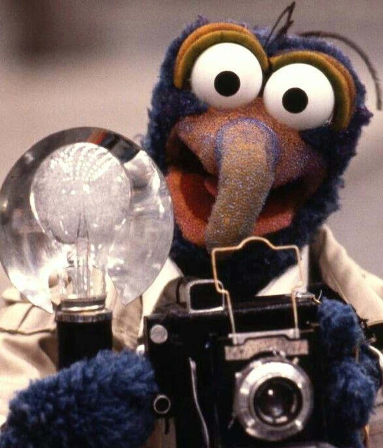 Aries (March 21 - April 19): Gonzo The Great