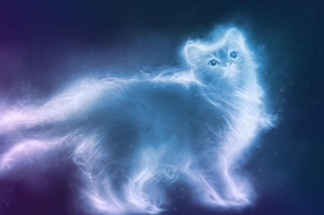 We Can Guess Your Patronus Based On Your Zodiac