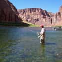 Arizona on Random Best US States for Fishing