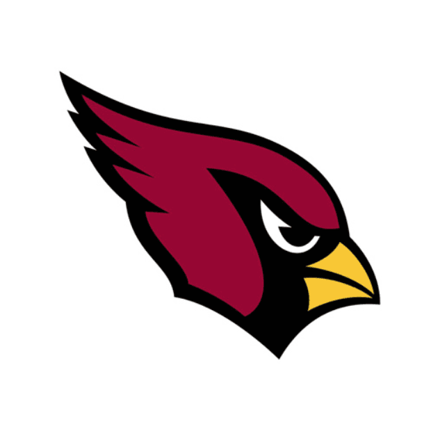 Professional Sports Teams Named After Birds, Ranked Best to Worst