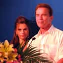 Arnold Schwarzenegger on Random Famous Long-Term Couples That Split