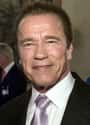 Arnold Schwarzenegger on Random Actors Who Actually Do Their Own Stunts