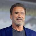 Arnold Schwarzenegger on Random Celebrities Who Have Been In Terrible Car Accidents