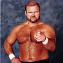 Arn Anderson on Random Best WCW Wrestlers