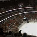 Honda Center on Random Best NHL Arenas