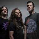 Arsis on Random Best Musical Artists From Virginia