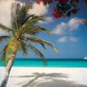 Aruba on Random Best Island Honeymoon Destinations