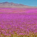 Atacama Desert on Random Real Landscapes That Look Like They're From Another Planet