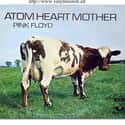 Atom Heart Mother on Random Best Pink Floyd Albums