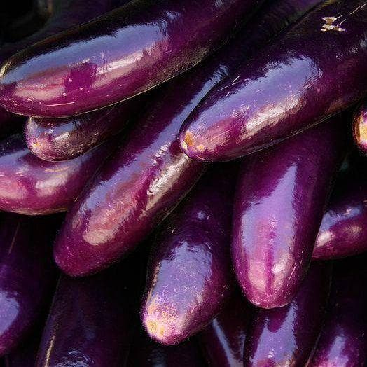 Eggplant on Random Best Tropical Fruits