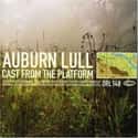 Auburn Lull on Random Best Ambient Music Bands/Artists