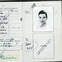 Audrey Hepburn on Random Celebrity Passport Photos