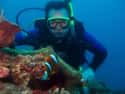 Australia on Random Best Countries for Scuba Diving