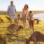 Australia is listed (or ranked) 9 on the list The Best Countries to Travel To