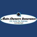 Auto-Owners Insurance on Random Best Car Insurance Companies