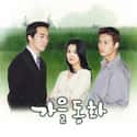 Song Hye-kyo, Moon Geun-young, Han Chae-young   Autumn in My Heart is a 2000 South Korean romantic television drama, starring Song Seung-heon, Song Hye-kyo and Won Bin.
