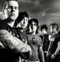 Avenged Sevenfold on Random Best Bands Like Five Finger Death Punch