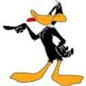 Daffy Duck on Random Best Bird Characters In Cartoons And Comics