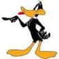 Daffy Duck is listed (or ranked) 5 on the list The Greatest Bird Characters of All Time
