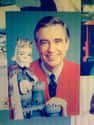 Mr. Rogers on Random Greatest TV Neighbors