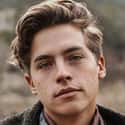 age 26   Cole Sprouse is an actor.