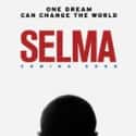 Oprah Winfrey, Common, Cuba Gooding Jr.   Selma is a 2014 historical drama film directed by Ava DuVernay and written by Paul Webb.