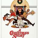 A Christmas Story on Random Best Comedies Rated PG