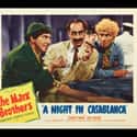 Groucho Marx, Harpo Marx, Leonard Marx   A Night in Casablanca is the twelfth Marx Brothers movie, starring Groucho Marx, Chico Marx, and Harpo Marx.