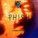 A Picture of Nectar on Random Best Phish Albums