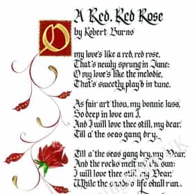 who wrote the poem a red red rose