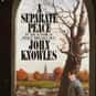 a separate peace online book