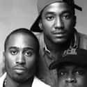 A Tribe Called Quest on Random Best East Coast Rappers