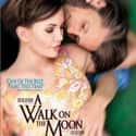 A Walk on the Moon on Random Best Movies About Infidelity