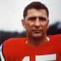 Babe Parilli is listed (or ranked) 24 on the list The Best Green Bay Packers Quarterbacks of All Time