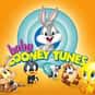 Baby Looney Tunes is listed (or ranked) 42 on the list The Worst Cartoon Network Shows