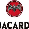 Bacardi on Random Best Affordable Alcohol Brands