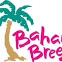 Bahama Breeze on Random Restaurant Chains with the Best Drinks