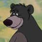 Baloo is listed (or ranked) 2 on the list The Greatest Bear Characters of All Time