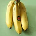 Banana on Random Delicious Foods to Eat Before They Go Extinct