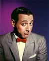 The Pee-wee Herman Show on Random Most Annoying Kids Shows