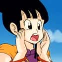 Chi-Chi on Random Dragon Ball Character You Are, According To Your Zodiac Sign
