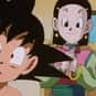 Chi-Chi is listed (or ranked) 24 on the list The Best Anime Mother Characters