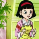 Videl on Random Best Anime Mother Characters