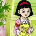 Videl on Random Best Anime Mother Characters