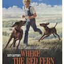 Where the Red Fern Grows on Random Greatest Dog Movies