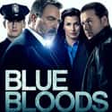 Blue Bloods on Random Best Serial Cop Dramas