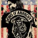 Sons of Anarchy - Season 3 on Random TV Seasons That Ruined Your Favorite Shows