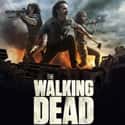 The Walking Dead on Random Best Action TV Shows