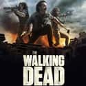 The Walking Dead on Random Greatest TV Dramas